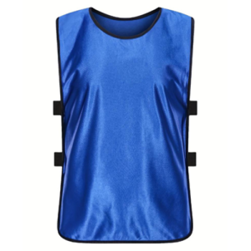 Teamhesjes blauw