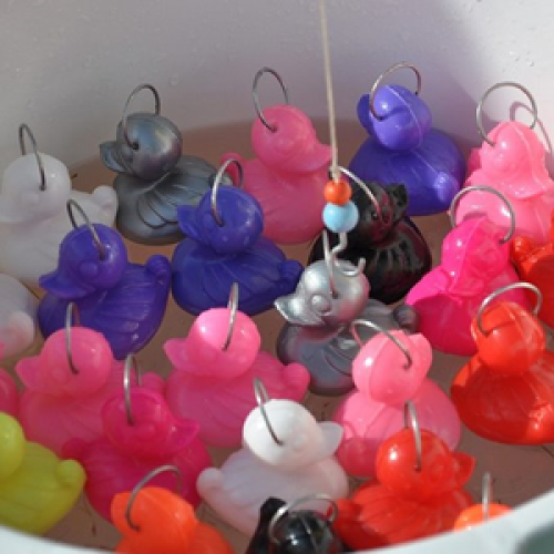 Set eendjes XXL (per 50)