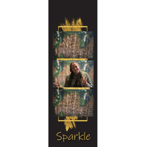 Preview fotostrip - Zwart met goud