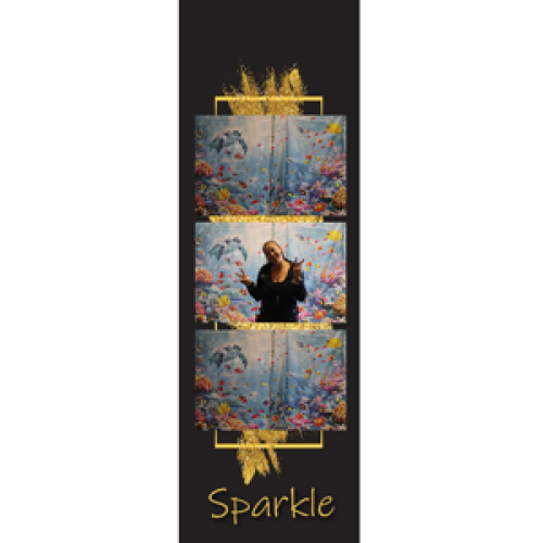 Preview fotostrip - Zwart met goud