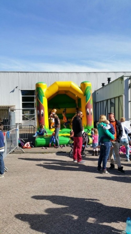 Springkussen Boomkussen