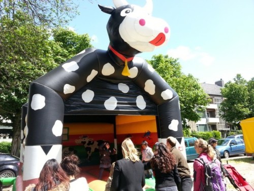 Springkussen Koekussen