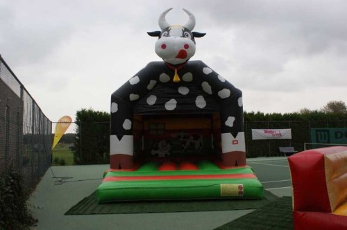 Springkussen Koekussen