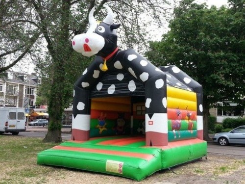 Springkussen Koekussen