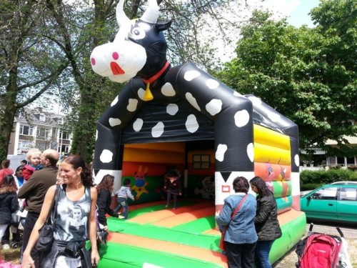 Springkussen Koekussen