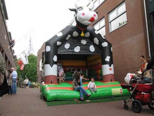 Springkussen Koekussen