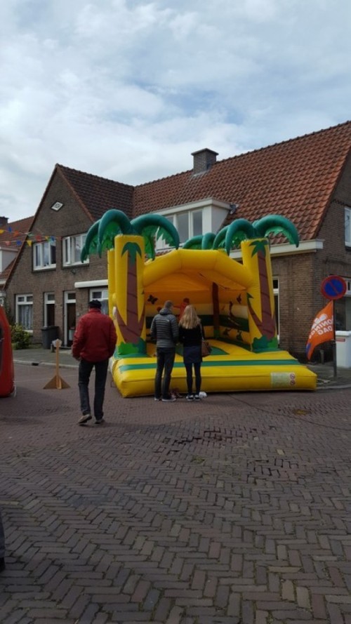 Springkussen Palmboomkussen 