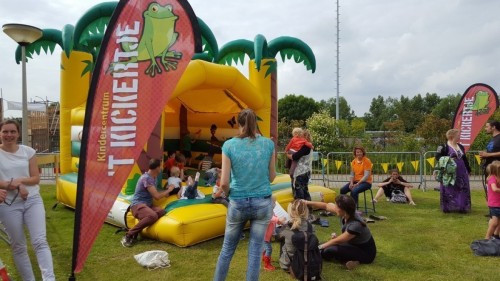 Springkussen Palmboomkussen 