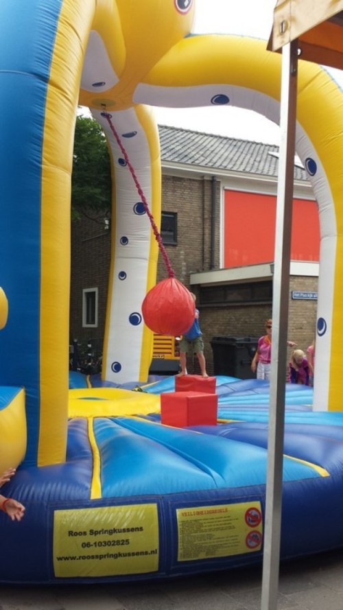 Slingerbal - Octopus game