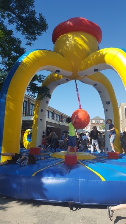 Slingerbal - Octopus game